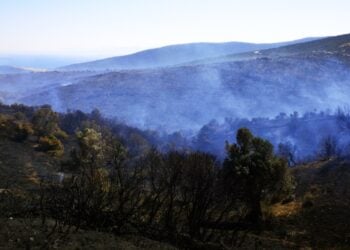 Πυρκαγιά στους Ραπταίους Καρύστου στην Εύβοια (φωτ. αρχείου: Eurokinissi/Τάσος Κούρος)