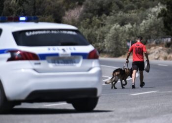 Εικόνα από τη Νέα Αγχίαλο Μαγνησίας, μια μέρα μετά τις εκρήξεις σε αποθήκη πυρομαχικών της Πολεμικής Αεροπορίας λόγω της πυρκαγιάς 
(φωτ.: Βασίλης Οικονόμου/EUROKINISSI)