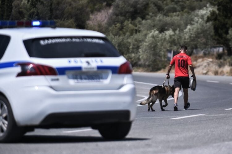 Εικόνα από τη Νέα Αγχίαλο Μαγνησίας, μια μέρα μετά τις εκρήξεις σε αποθήκη πυρομαχικών της Πολεμικής Αεροπορίας λόγω της πυρκαγιάς 
(φωτ.: Βασίλης Οικονόμου/EUROKINISSI)