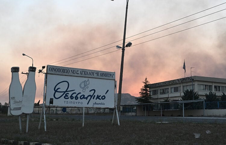 Φωτιά στη Νέα Αγχίαλο (φωτ.: EUROKINISSI / Τατιάνα Μπόλαρη)