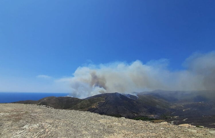 Αναζωπύρωση στον Πλατανιστό Καρύστου (φωτ.: Facebook / Vagelis Spirou)