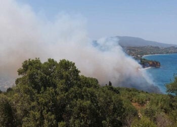 Φωτιά στην περιοχή Αγία Τριάδα της Κορώνης, στη Μεσσηνία (φωτ.: ΕΡΤ)