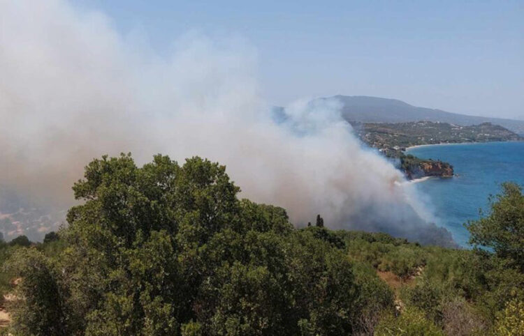 Φωτιά στην περιοχή Αγία Τριάδα της Κορώνης, στη Μεσσηνία (φωτ.: ΕΡΤ)