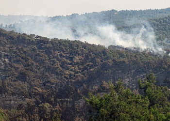 Ενεργή εστία φωτιάς στη Ρόδο (φωτ.: EUROKINISSI / Αργύρης  Μαντίκος)