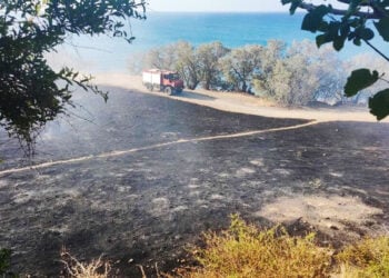 Καμένη έκταση στο Καστρί Βιάννου (φωτ.: π. Εμμανουήλ Λιαπάκης)