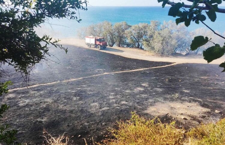 Καμένη έκταση στο Καστρί Βιάννου (φωτ.: π. Εμμανουήλ Λιαπάκης)