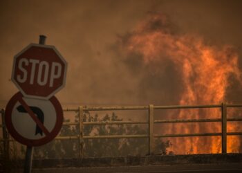 Παλιότερο στιγμιότυπο από πυρκαγιά σε δασική έκταση (φωτ.: EUROKINISSI/Βασίλης Οικονόμου)