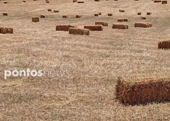 (Φωτ.: Χριστίνα Κωνσταντάκη)