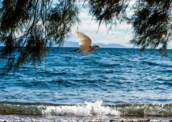 (Φωτ.: EUROKINISSI/Γιώργος Κονταρίνης)