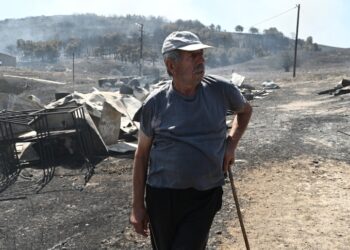 Κτηνοτρόφος του οποίου η μονάδα καταστράφηκε από την πυρκαγιά στη Μαγνησία (φωτ.: EUROKINISSI/Τατιάνα Μπόλαρη)