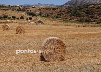 (Φωτ.: Χριστίνα Κωνσταντάκη)