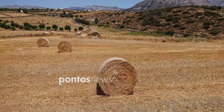 (Φωτ.: Χριστίνα Κωνσταντάκη)