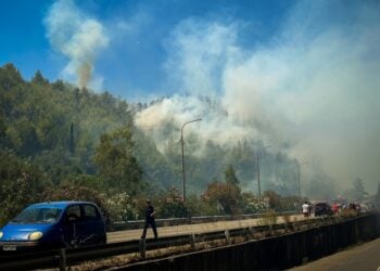 Φωτιά σε δασική έκταση στην περιοχή της Ηλείας (φωτ.: EUROKINISSI/iliealive.gr/Γιάννης Σπυρούνης)