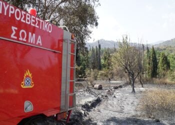 Πυροσβεστικό όχημα δίπλα σε καμένη έκταση (φωτ.: EUROKINISSI/Γιώργος Κονταρίνης)