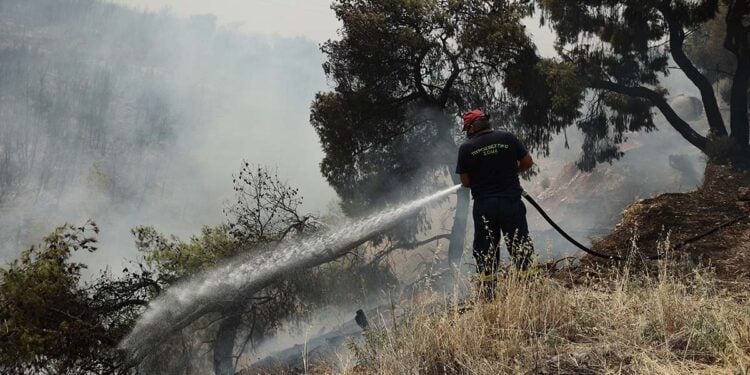 (Φωτ. αρχείου: 
EUROKINISSI / Βασίλης Ρεμπάπης)