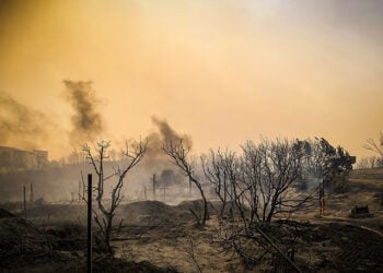 Απόκοσμες εικόνες από το μέχρι πρότινος καταπράσινο νησί της Ρόδου (φωτ.: EUROKINISSI / Αργύρης Μαντίκος)