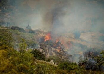 Στιγμιότυπο από την πυρκαγιά (φωτ.: EUROKINISSI/Αργύρης Μαντικός)