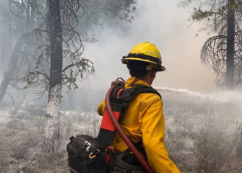 (Φωτ. αρχείου: EPA / Pio J Michael Johnson / US Forest Service)