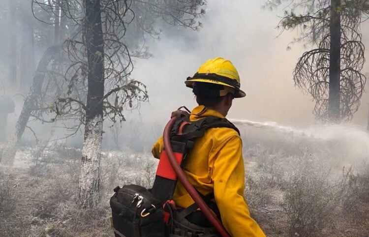 (Φωτ. αρχείου: EPA / Pio J Michael Johnson / US Forest Service)