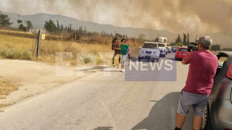 Στιγμιότυπο από τη φωτιά που καίει στο Βελεστίνο (φωτ.: ertnews.gr)