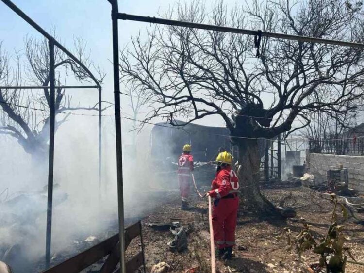 Εικόνα από το Σαράντη Βοιωτίας, όπου ξέσπασε μεγάλη φωτιά. Εκεί επιχείρησαν εθελοντές Σαμαρείτες-Διασώστες από την Αθήνα και τα Περιφερειακά Τμήματα Λιβαδειάς και Θήβας του Ελληνικού Ερυθρού Σταυρού (φωτ.: ΑΠΕ-ΜΠΕ/ ΕΛΛΗΝΙΚΟΣ ΕΡΥΘΡΟΣ ΣΤΑΥΡΟΣ/ STR)