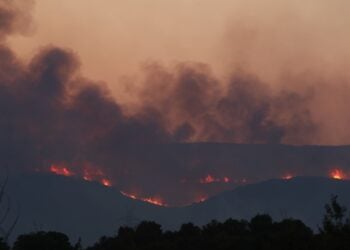 Εικόνα από τη φωτιά που άρχισε από το χωριό Διαλεκτό, στο δήμο Νέστου (φωτ.: Βασίλης Βερβερίδης / ΜΟΤΙΟΝ ΤΕΑΜ)