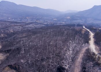 Άποψη των καμένων εκτάσεων στον Έβρο (φωτ.: ΜΟΤΙΟΝΤΕΑΜ/Βασίλης Βερβερίδης)