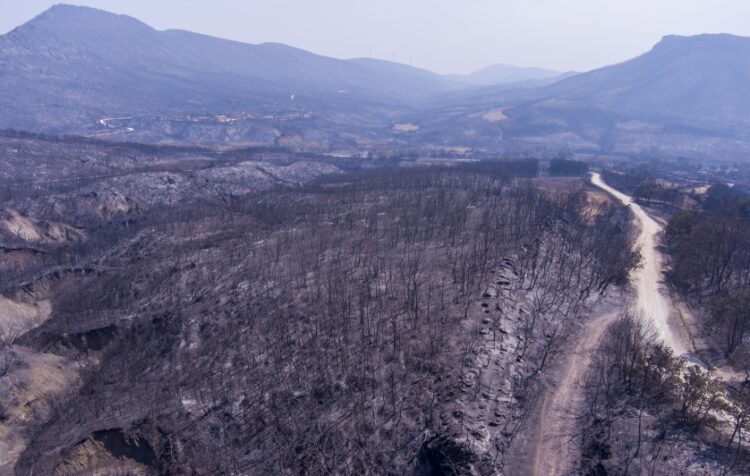 Άποψη των καμένων εκτάσεων στον Έβρο (φωτ.: ΜΟΤΙΟΝΤΕΑΜ/Βασίλης Βερβερίδης)