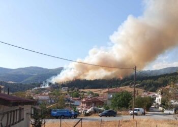 Φλόγες διακρίνονται στο δάσος κοντά στη Δεσκάτη (φωτ.: e-ptolemeos.gr/Κώστας Μάρκου)