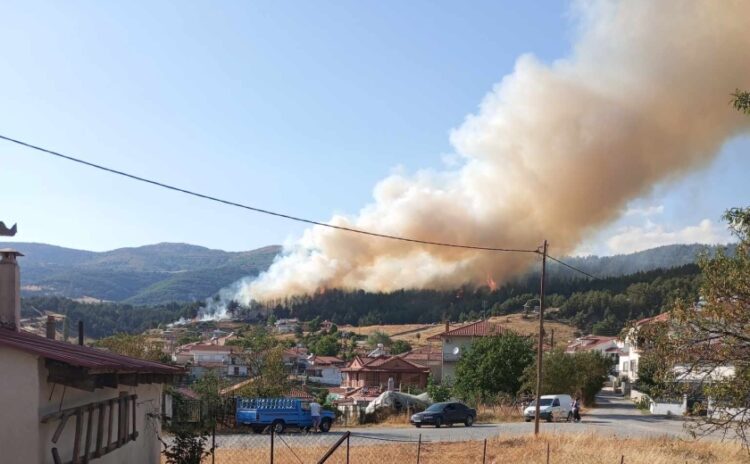 Φλόγες διακρίνονται στο δάσος κοντά στη Δεσκάτη (φωτ.: e-ptolemeos.gr/Κώστας Μάρκου)