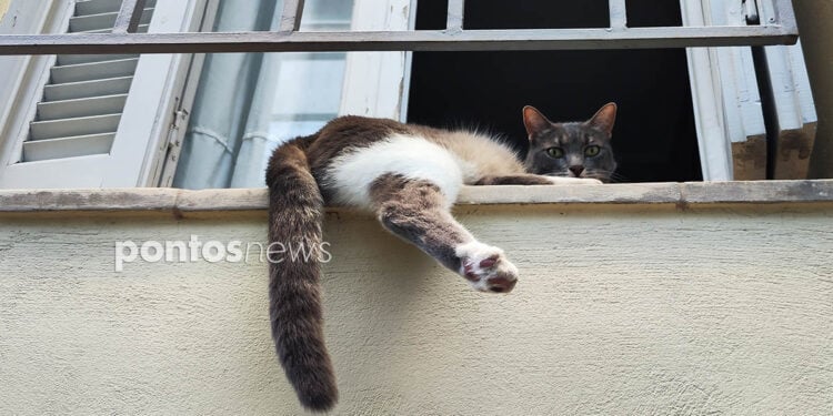 (Φωτ.: Χριστίνα Κωνσταντάκη)