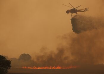 Πυροσβεστικό ελικόπτερο επιχειρεί στην κατάσβεση της πυρκαγιάς στα όρια της Βιομηχανικής Περιοχής Αλεξανδρούπολης (φωτ.: ΑΠΕ-ΜΠΕ / Αλέξανδρος Μπελτές)