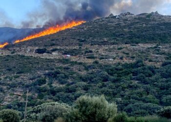 Φωτιά καίει σε δασική έκταση στην τοποθεσία «Αγία Μαρίνα» στην Άνδρο (φωτ.: ΑΠΕ-ΜΠΕ)