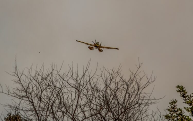 Αεροσκάφος Canadair επιχειρεί σε δασική πυρκαγιά (φωτ. αρχείου: EUROKINISSI)