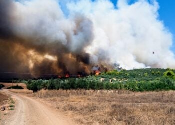 Οι φλόγες καίνε περιοχή στα Ψαχνά Εύβοιας (φωτ.: EUROKINISSI/Θοδωρής Νικολάου)