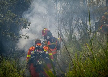 (Φωτ. αρχείου: Γιάννης Σπυρούνης / ilialive.gr)