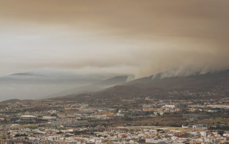 Καπνός υψώνεται από την περιοχή Ελ Ροζάριο στην Τενερίφη, στα Κανάρια Νησιά. Σύμφωνα με τις τοπικές αρχές, η φωτιά έχει περίμετρο τουλάχιστον 31 χλμ. (φωτ.: EPA/Alberto Valdes)