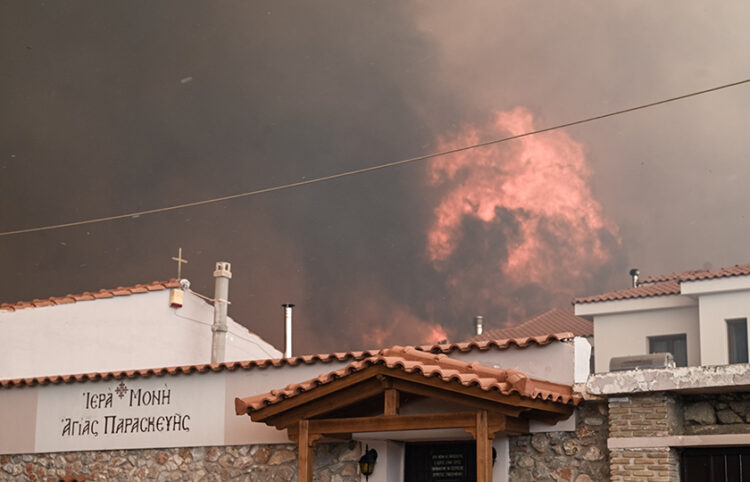 (Φωτ.: EUROKINISSI / Τατιάνα Μπόλαρη)