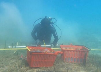 Στιγμιότυπο από την ερευνητική κατάδυση στη λίμνη Οχρίδα (φωτ.: euronews)