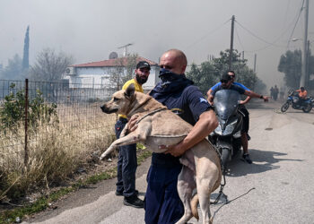 (Φωτ.: EUROKINISSI / Τατιάνα Μπόλαρη)