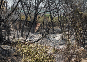 Καμένη γη στη νότια Ρόδο, στο παραθαλάσσιο Κιοτάρι (φωτ.: EUROKINISSI / Λευτέρης Δαμιανίδης)