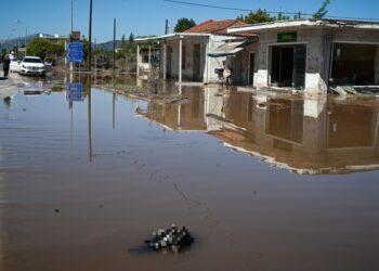 Υγειονομική βόμβα τα νεκρά ζώα στη Θεσσαλία (φωτ.: Eurokinissi/Τατιάνα Μπόλαρη)