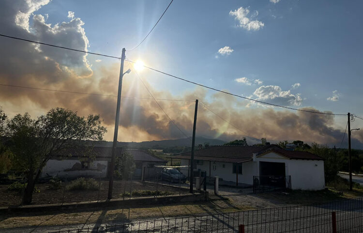 Αναζωπύρωση στη Λευκίμμη Σουφλίου (φωτ.: Facebook / Προβατώνας Έβρου)