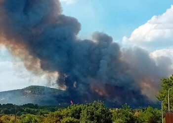 Αναζωπύρωση στη Λευκίμμη Σουφλίου (φωτ.: evros-news.gr)