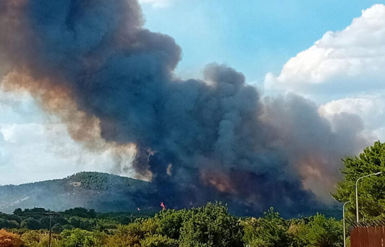 Αναζωπύρωση στη Λευκίμμη Σουφλίου (φωτ.: evros-news.gr)