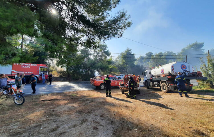 Πυροσβεστικές δυνάμεις στο Μαρκόπουλο Ωρωπού (φωτ.: Facebook / Dimitris Razis)