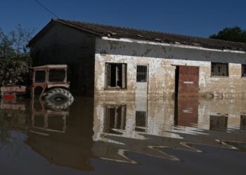 Κατεστραμμένες περιουσίες στη Μεταμόρφωση Καρδίτσας (φωτ.: EUROKINISSI/Τατιάνα Μπόλαρη)