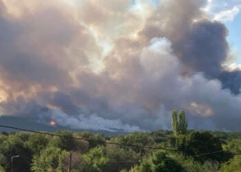 Αναζωπύρωση στη Λευκίμμη Σουφλίου (φωτ.: Facebook / Προβατώνας Έβρου)