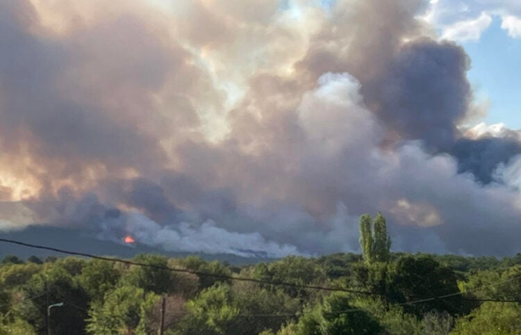 Αναζωπύρωση στη Λευκίμμη Σουφλίου (φωτ.: Facebook / Προβατώνας Έβρου)