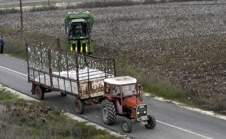 Τρακτέρ με βαμβάκι στο θεσσαλικό κάμπο (φωτ.: EUROKINISSI/Θανάσης Καλλιάρας)